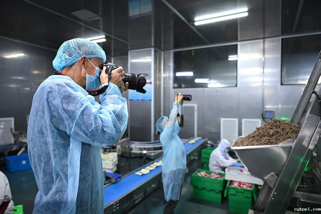 65名川渝新闻摄影人齐聚重庆綦江 用镜头见证发展与协作