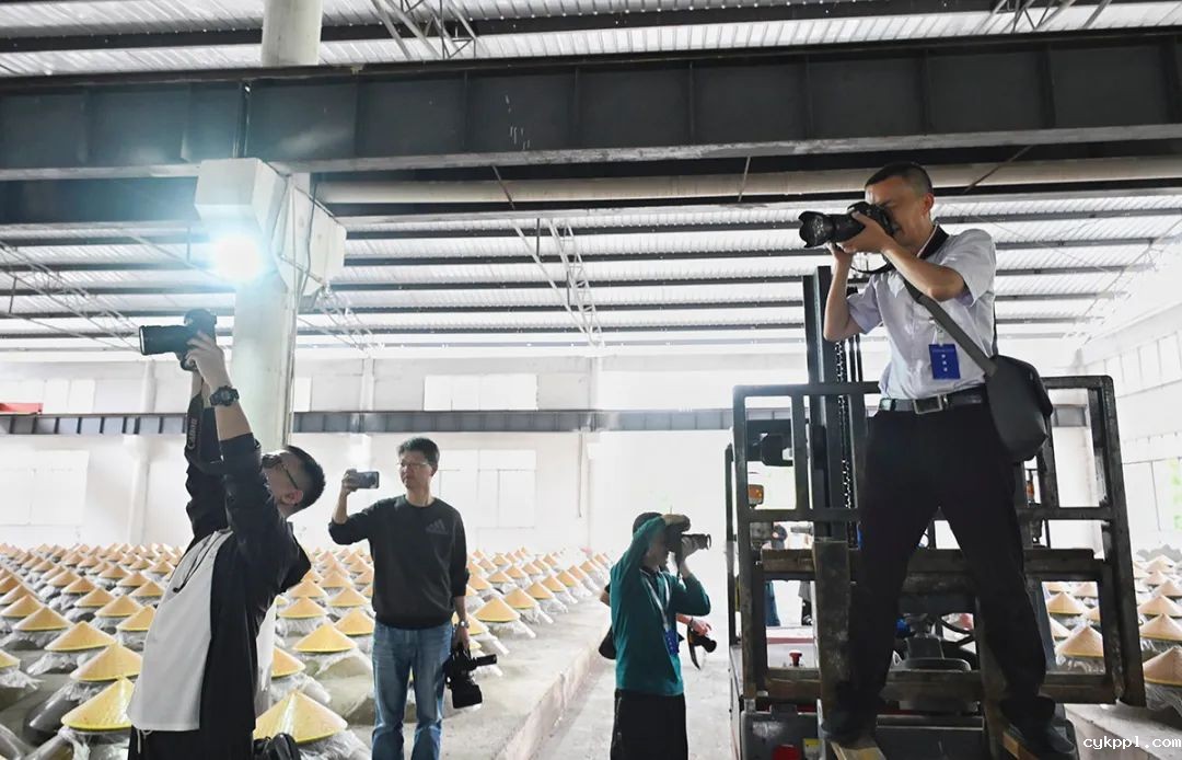 65名川渝新闻摄影人齐聚重庆綦江 用镜头见证发展与协作