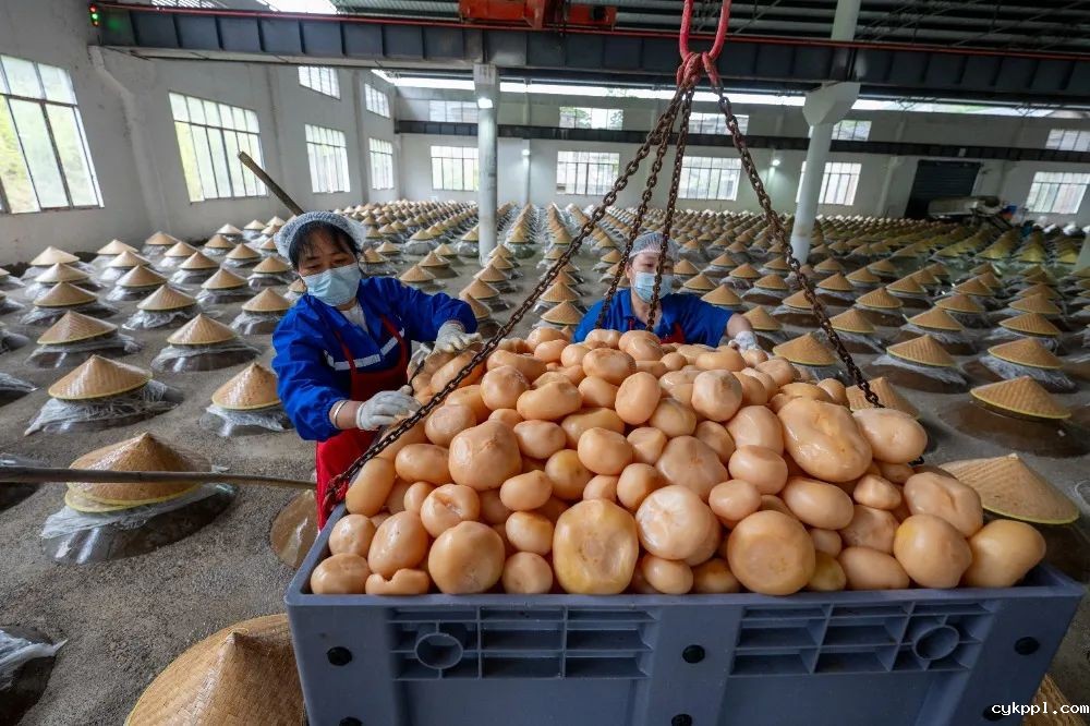 图集｜川渝摄影名家、记者走进綦江作品选登