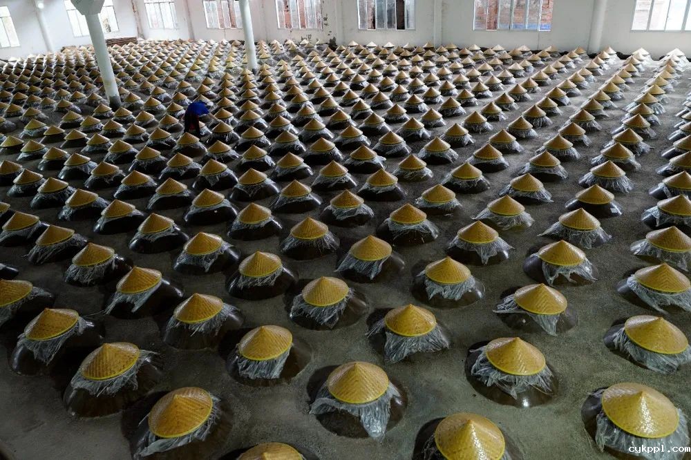 图集｜川渝摄影名家、记者走进綦江作品选登