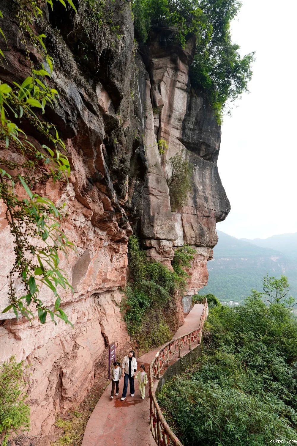 图集｜川渝摄影名家、记者走进綦江作品选登