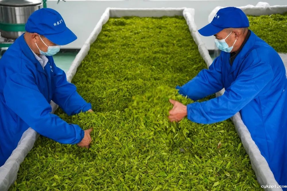 图集｜川渝摄影名家、记者走进綦江作品选登