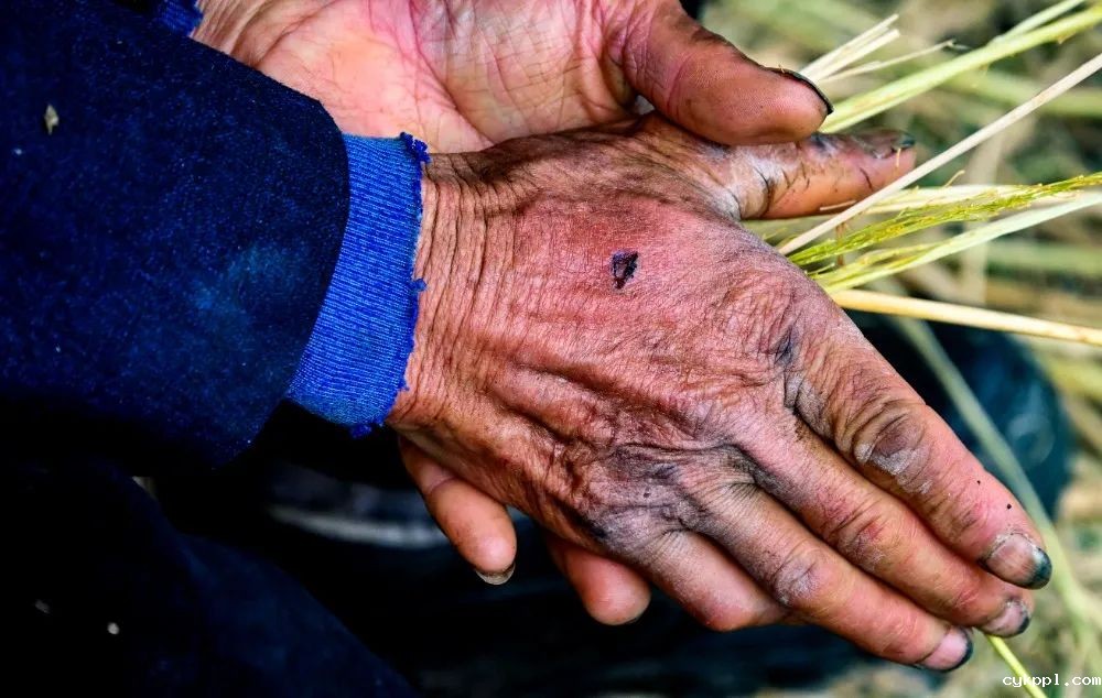 图集｜川渝摄影名家、记者走进綦江作品选登