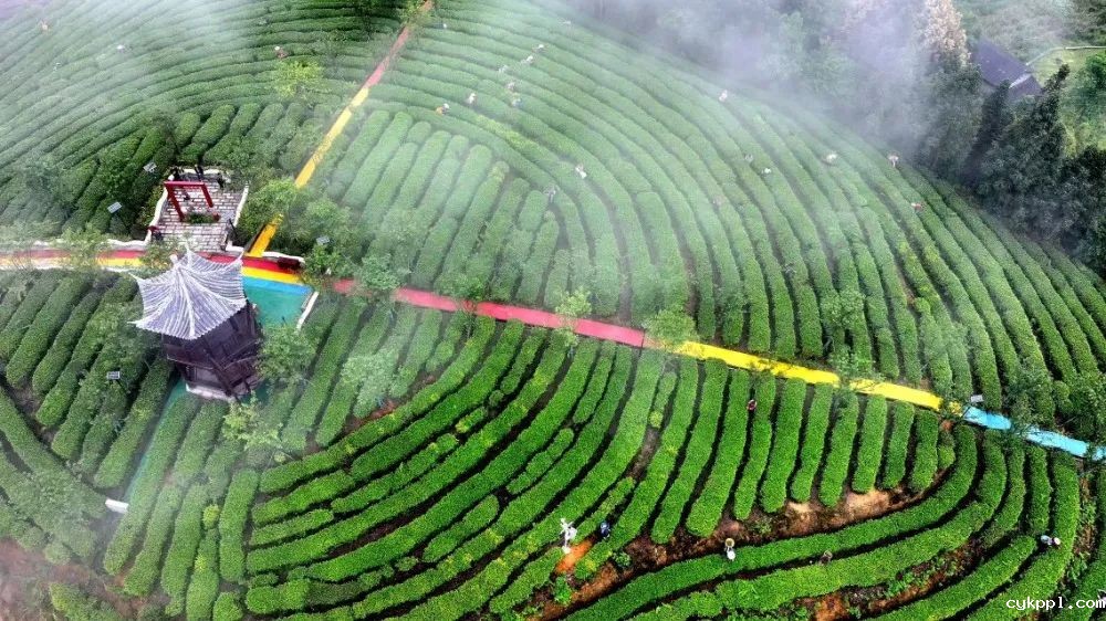 图集｜川渝摄影名家、记者走进綦江作品选登