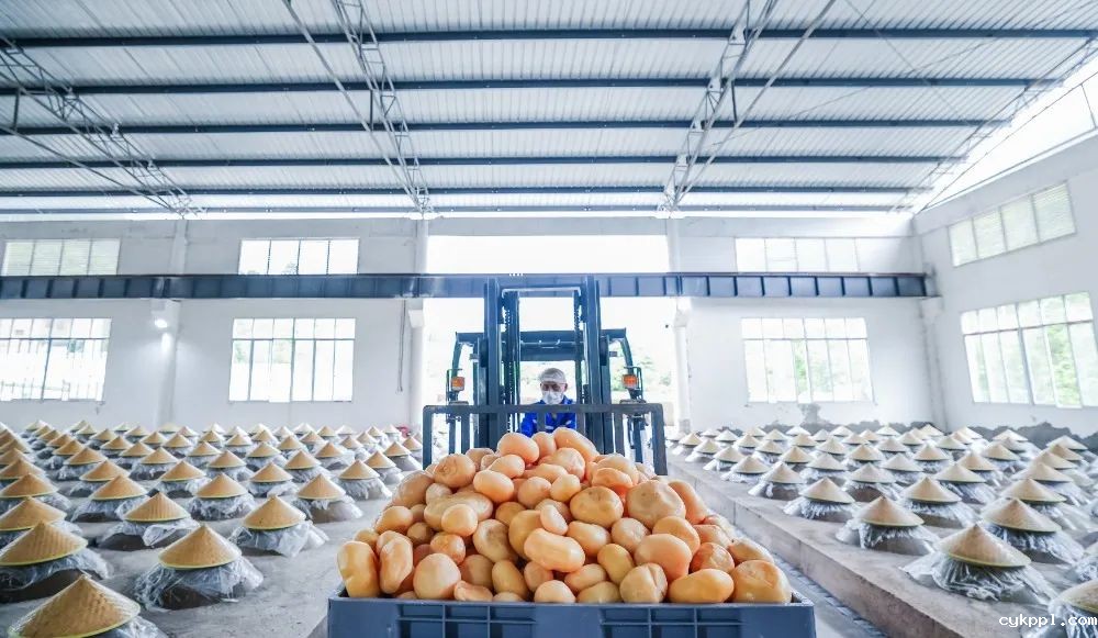 图集｜川渝摄影名家、记者走进綦江作品选登