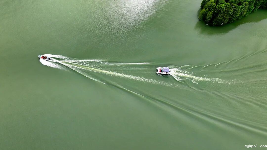 用“理论强基+案例研讨+实践淬炼”强“四力”