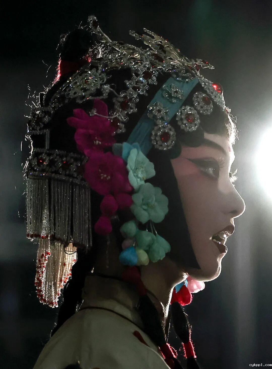 梅花香自苦寒来