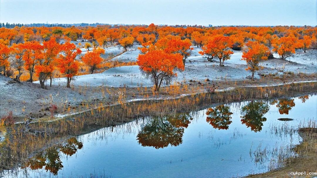 走进新疆阿拉尔，看昔日荒漠变绿洲的生态发展奇迹