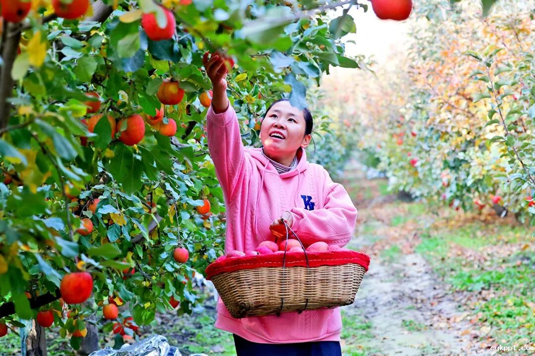走进新疆阿拉尔，看昔日荒漠变绿洲的生态发展奇迹