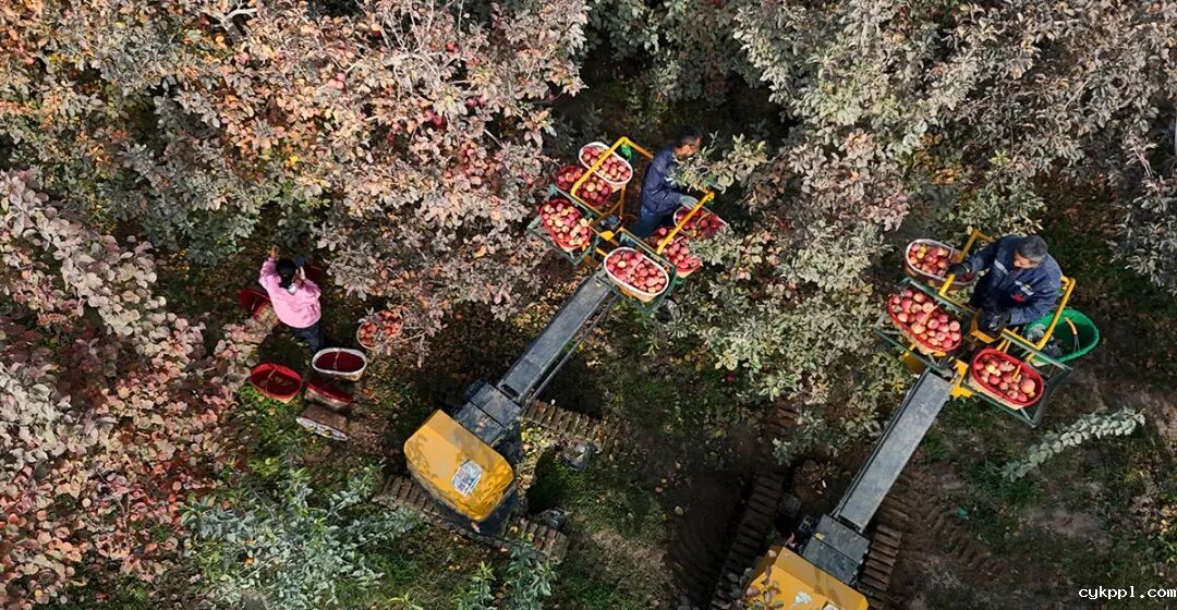 走进新疆阿拉尔，看昔日荒漠变绿洲的生态发展奇迹