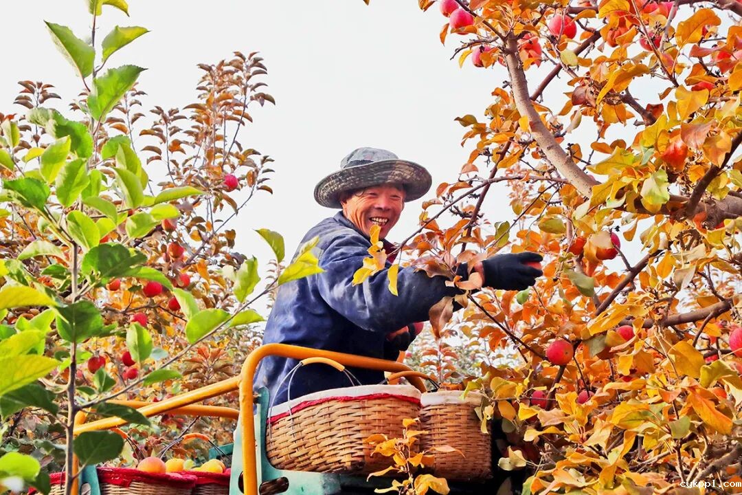 走进新疆阿拉尔，看昔日荒漠变绿洲的生态发展奇迹
