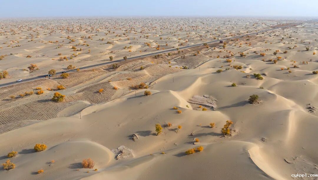 走进新疆阿拉尔，看昔日荒漠变绿洲的生态发展奇迹