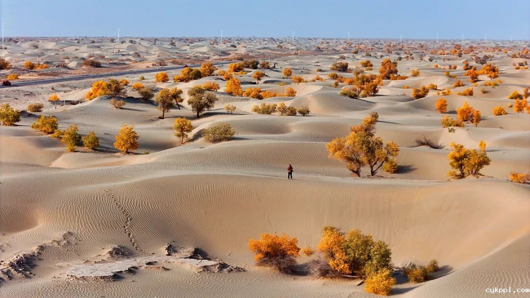 走进新疆阿拉尔，看昔日荒漠变绿洲的生态发展奇迹