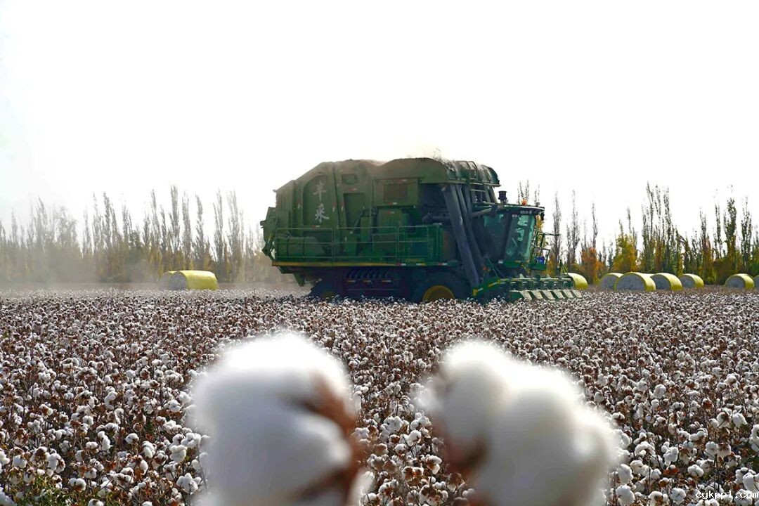 走进新疆阿拉尔，看昔日荒漠变绿洲的生态发展奇迹