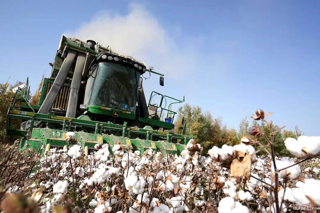 走进新疆阿拉尔，看昔日荒漠变绿洲的生态发展奇迹