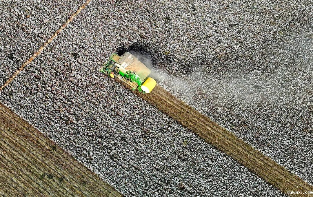 走进新疆阿拉尔，看昔日荒漠变绿洲的生态发展奇迹