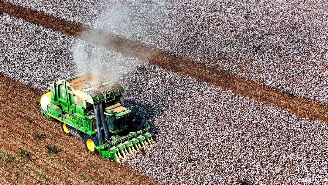 走进新疆阿拉尔，看昔日荒漠变绿洲的生态发展奇迹