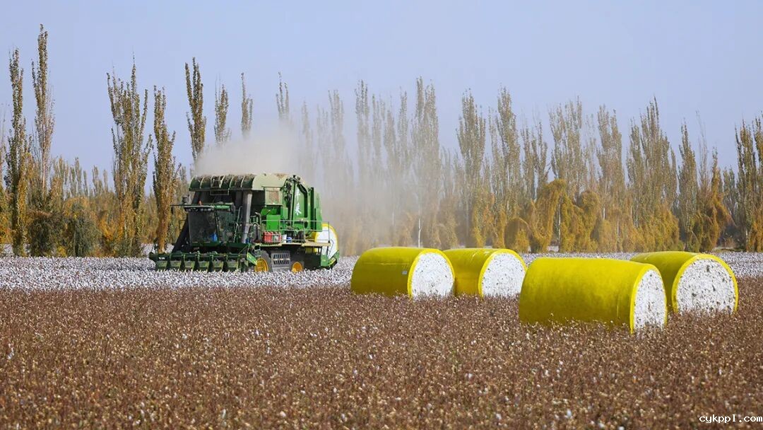 走进新疆阿拉尔，看昔日荒漠变绿洲的生态发展奇迹