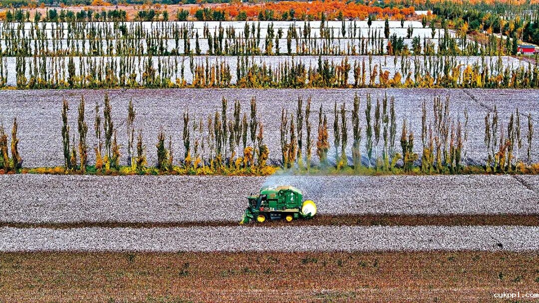 走进新疆阿拉尔，看昔日荒漠变绿洲的生态发展奇迹