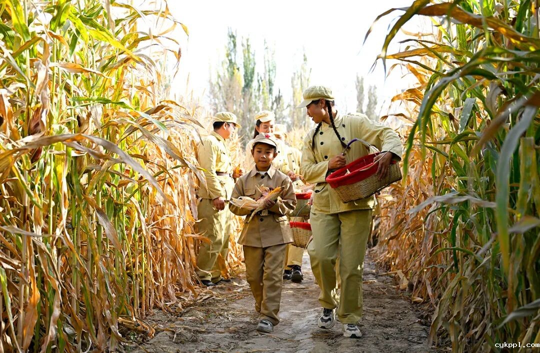 走进新疆阿拉尔，看昔日荒漠变绿洲的生态发展奇迹