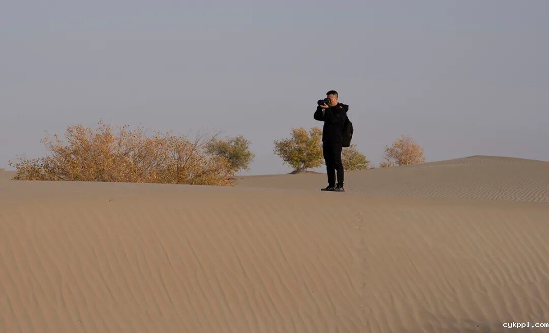 走进新疆阿拉尔，看昔日荒漠变绿洲的生态发展奇迹
