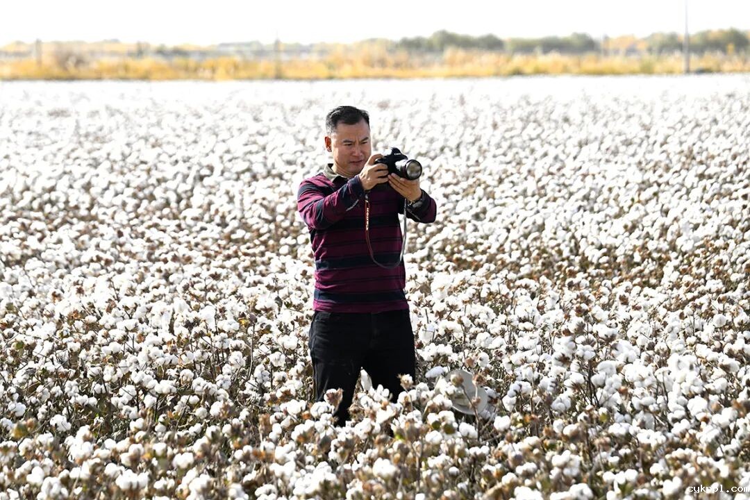 走进新疆阿拉尔，看昔日荒漠变绿洲的生态发展奇迹