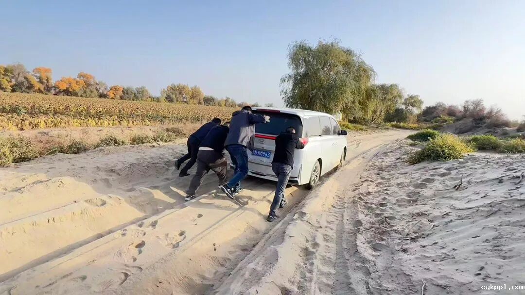 走进新疆阿拉尔，看昔日荒漠变绿洲的生态发展奇迹