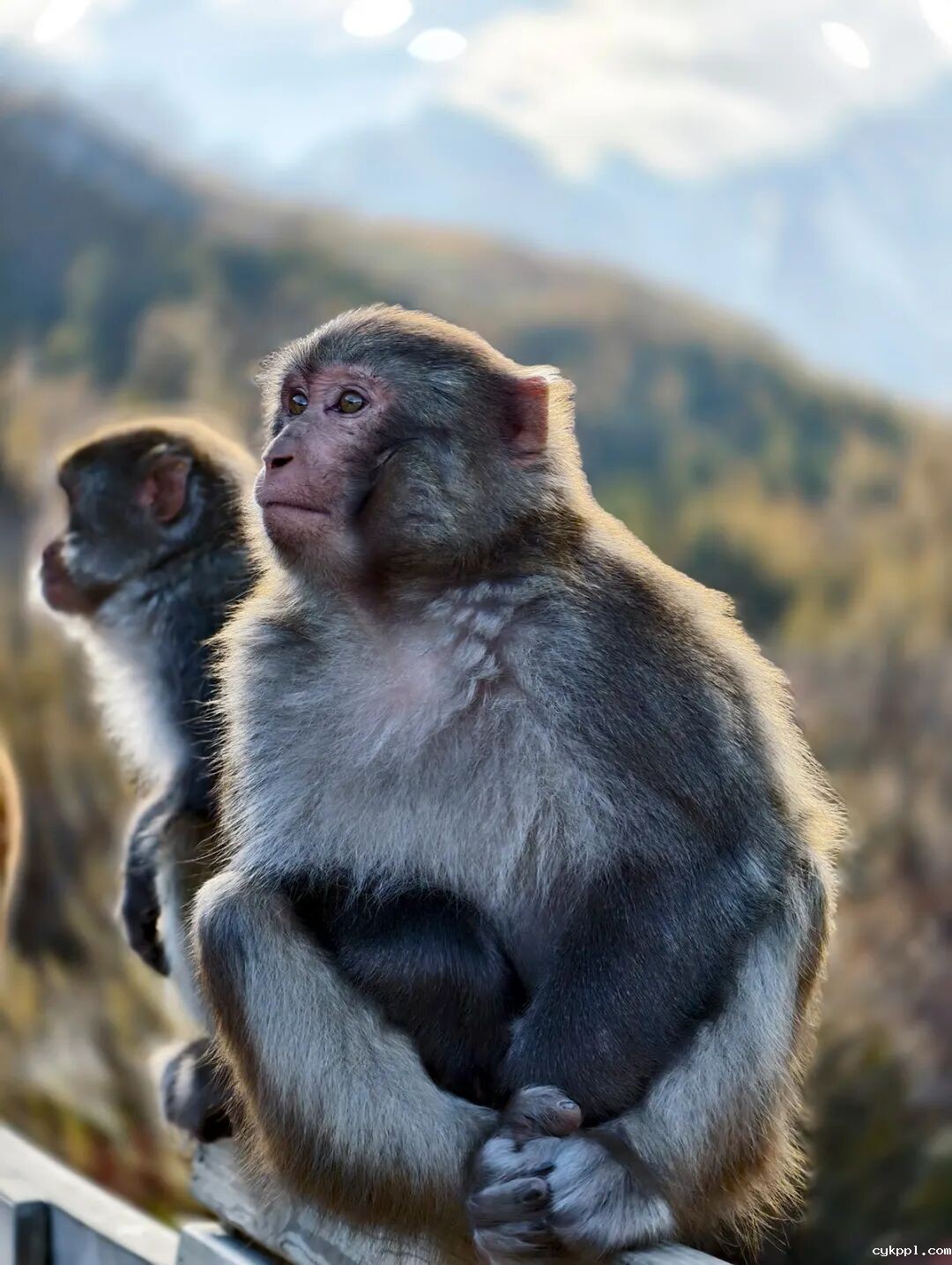 穿越冰峰 遇见稻城亚丁