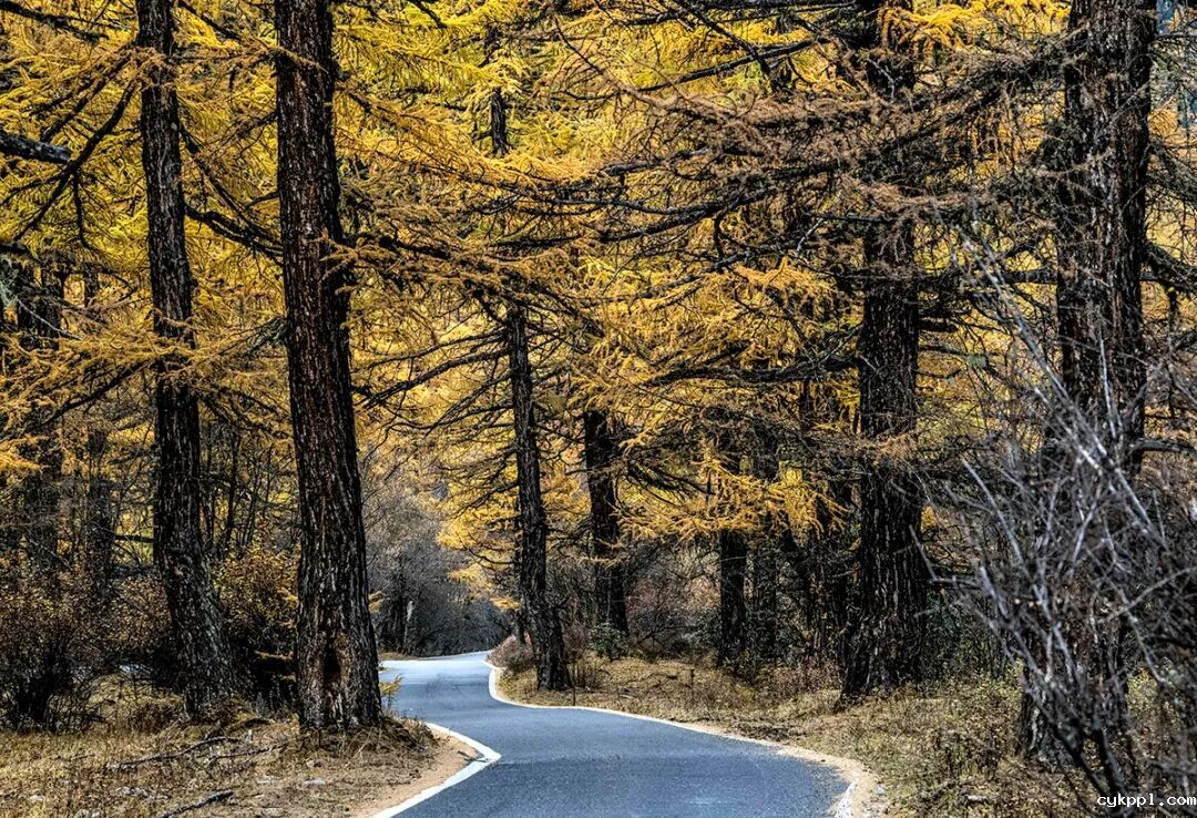 穿越冰峰 遇见稻城亚丁