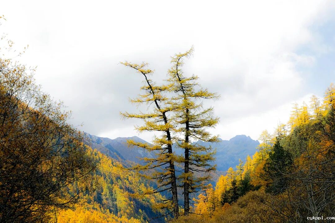 穿越冰峰 遇见稻城亚丁