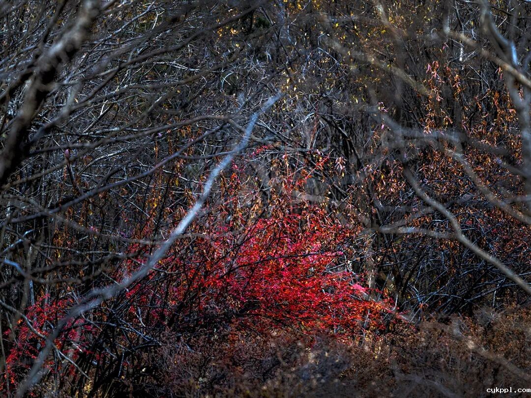 穿越冰峰 遇见稻城亚丁