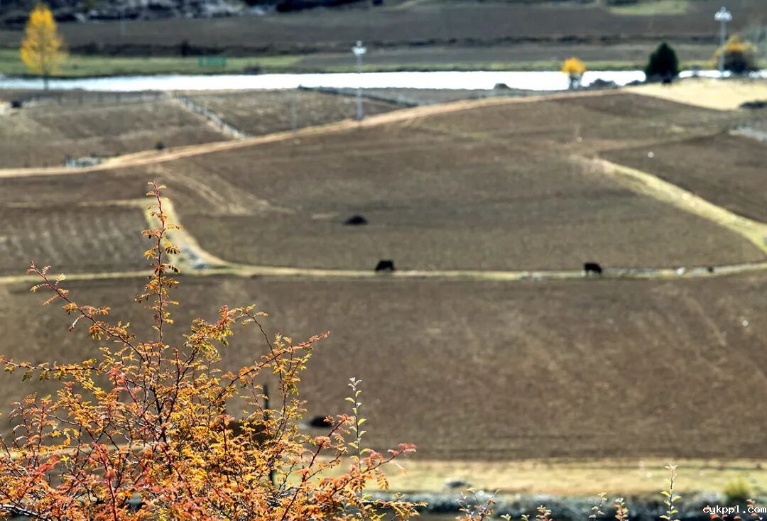 甘孜乡城：“活态”传统村落赋能乡村振兴
