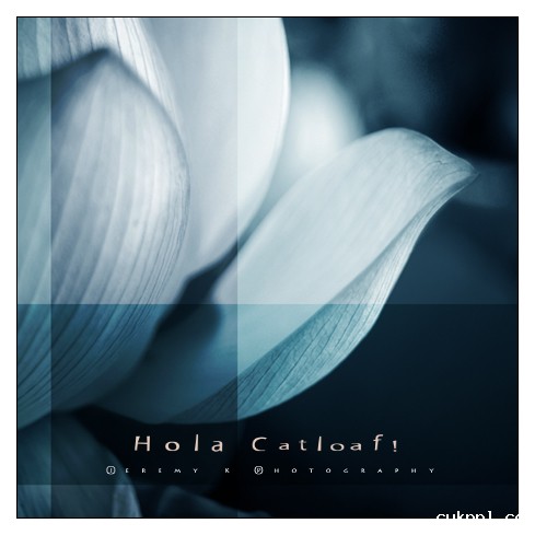 有颜色的黑白照