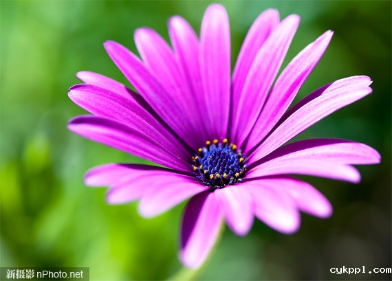 了解摄影中的ISO感光度 了解摄影中的ISO感光度