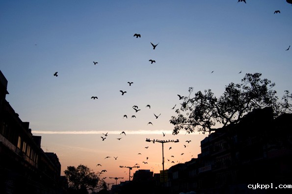 给摄影爱好者的11个建议