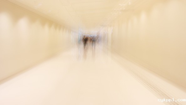 给摄影爱好者的11个建议