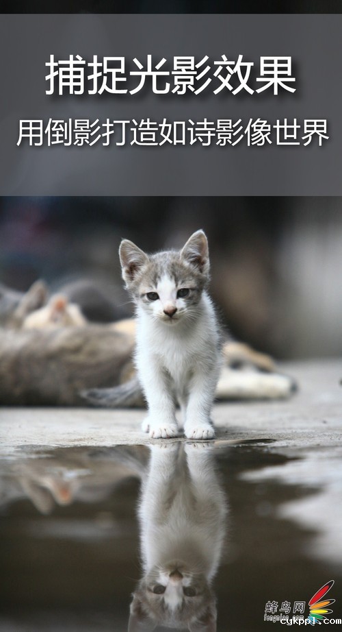 捕捉光影效果 用倒影打造如诗影像世界