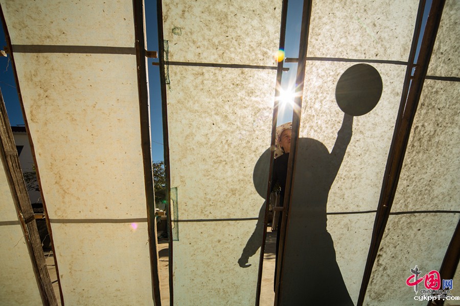 傣纸工艺：来自西双版纳的古老造纸术