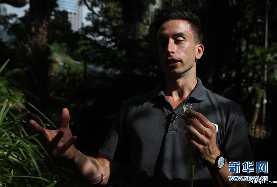 繁华都市中的原住民文化守望者