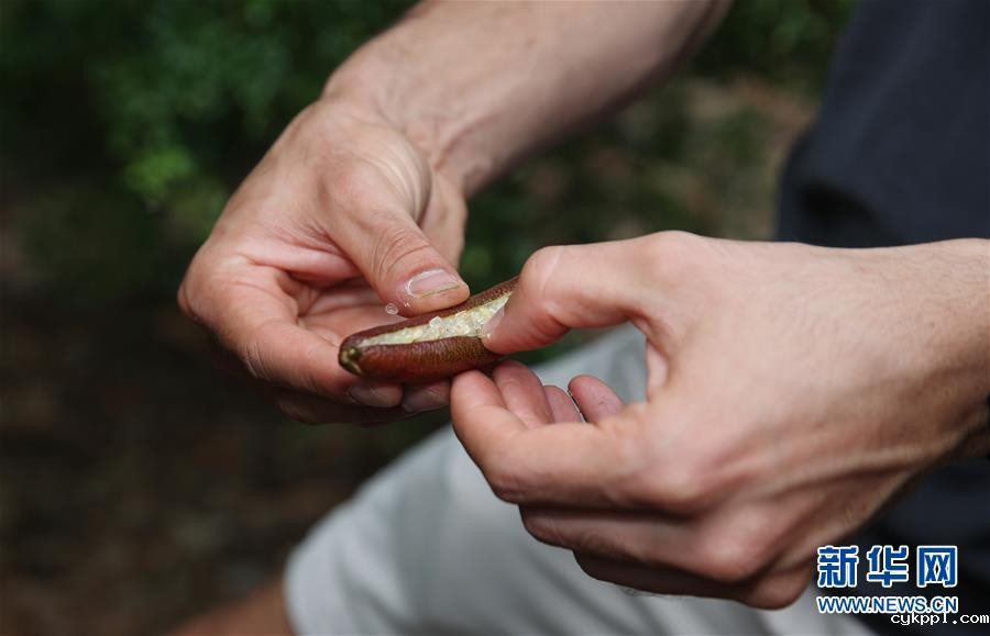 繁华都市中的原住民文化守望者