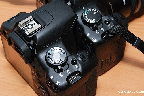 兄弟PK 佳能EOS500D与450D真机外观对比