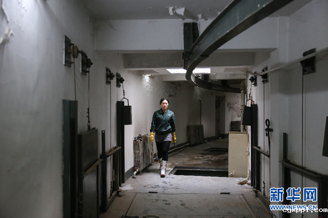 90后女饲养员和她的“大猫”