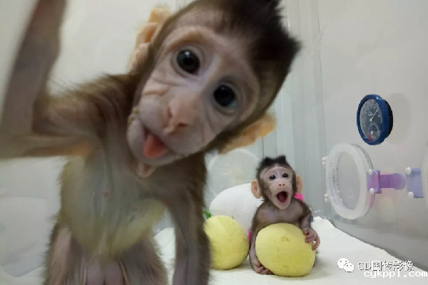 中国日报2018年度国际传播图片