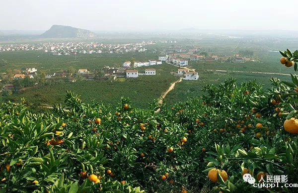 人民摄影官宣 | 人民摄影官宣 |