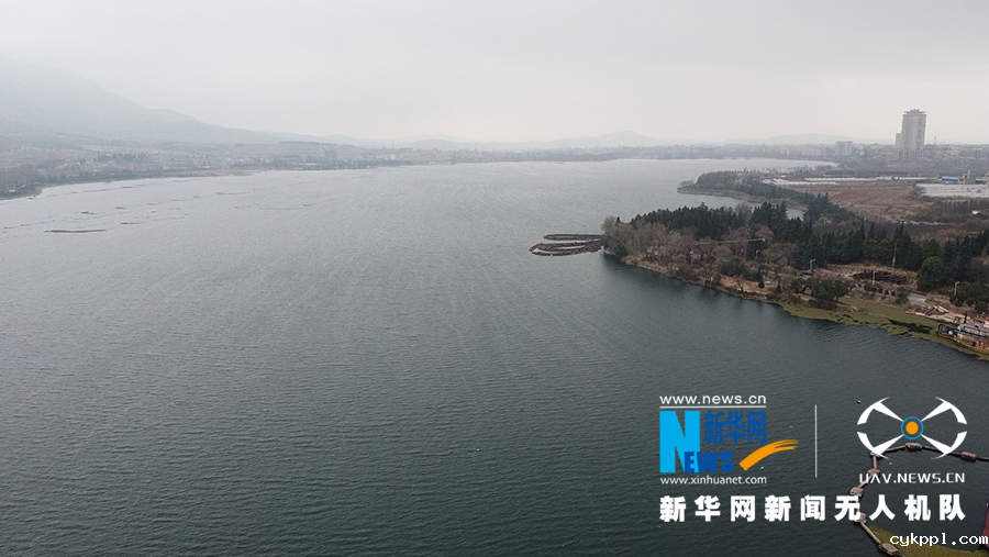 冬日来一场“鸥”遇