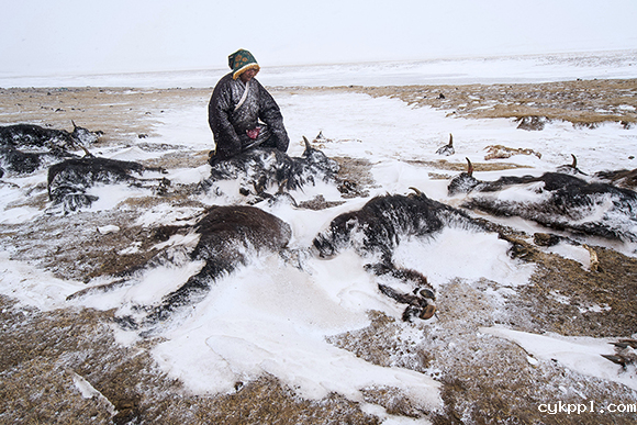 人民摄影“金镜头”(2019年度)新闻摄影作品评选圆满结束 人民摄影“金镜头”(2019年度)新闻摄影作品评选圆满结束