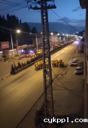 15头野生亚洲象进入云南峨山县城 无人机持续跟踪监测