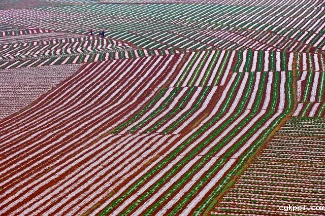 运用线条的魅力