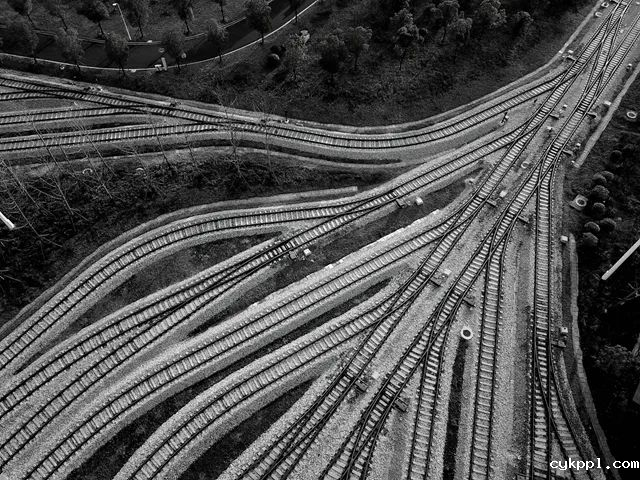 运用线条的魅力