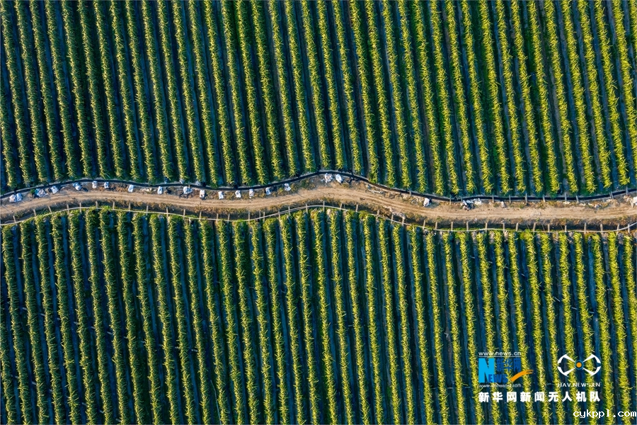 广西岑溪：青山环抱乡村如画